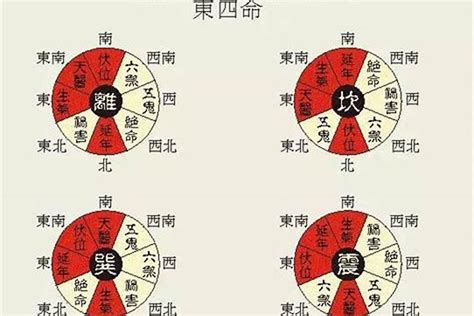 東四命 西四命 算法|八宅东四命与西四命的计算方法